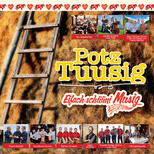 Potz-Tuusig - Eifach schüüni Musig