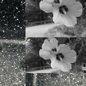 breakmyneck (feat. Yusei6k) (Explicit)