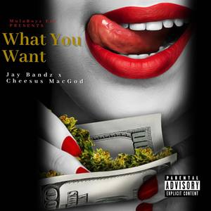 What You Want (Explicit)