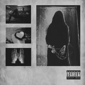 SHADE (feat. fusionlul) (Explicit)