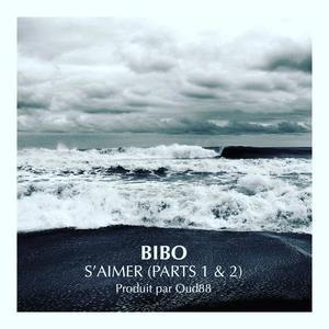 S'Aimer (Parts 1 & 2) (feat. Oud88)