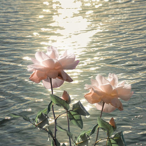 成长如脱筋剥骨般疼痛