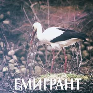 Emigrant(with Kalin Sivov)