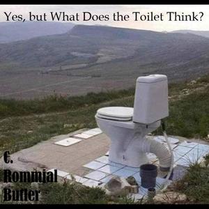 Yes, but What Does the Toilet Think?