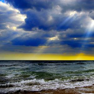 they love me (Explicit)