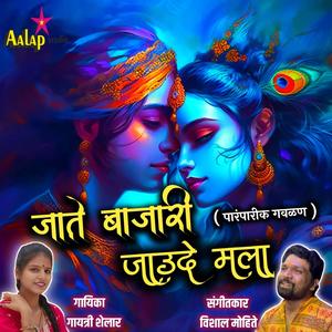 Jate Bajari Jaude Mala Gavlan (feat. Gayatri Shelar) (Explicit)