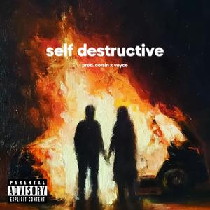 Self destructive (Explicit)