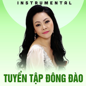 Tuyển tập Đông Đào (Instrumental)