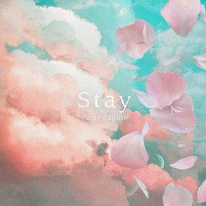 Stay