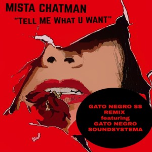 Tell Me What U Want[feat. Gato Negro Soundsystema] (Gato Negro Soundsystema Remix)
