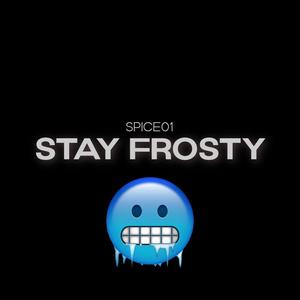 Stay Frosty (feat. Vnxious) [Explicit]