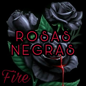 Rosas Negras