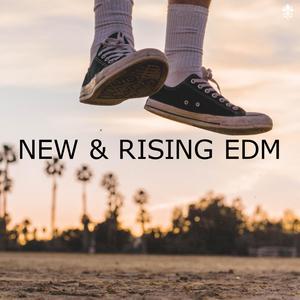 New & Rising EDM