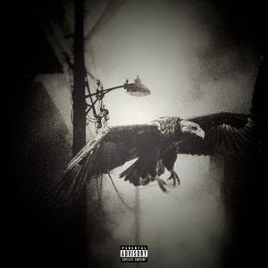 fill my shit up (Explicit)