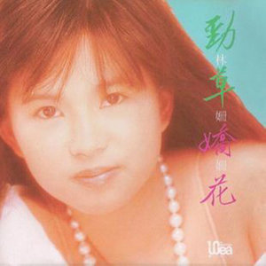痴心汉子