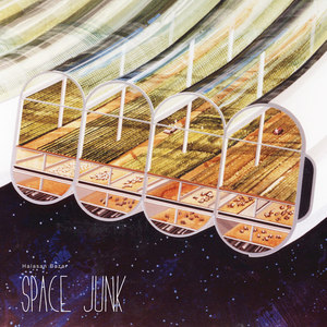 Space Junk