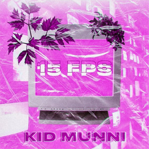 15 Fps (Explicit)