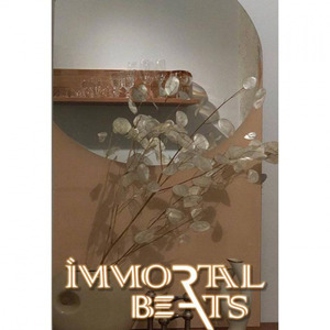 胡伟立-忆情 (补传) (蛋挞Ta / Immortal Beats remix)