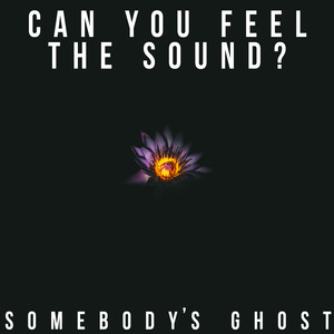 Can You Feel the Sound?