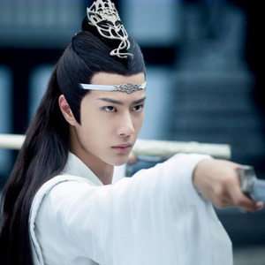 在下名叫蓝忘机 (加速版)