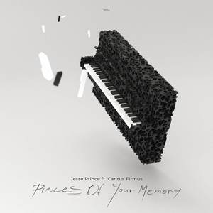 Pieces of Your Memory