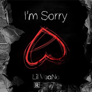 Im Sorry (Explicit)