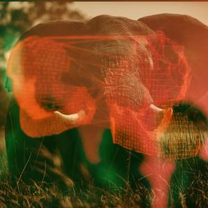 15 - Dream Come True