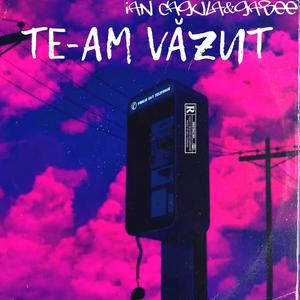 Te-am Văzut (feat. GaBee) (Explicit)