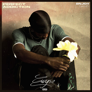 Perfect Addiction (Explicit)
