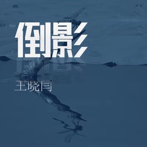王晓闫 - 倒影 (伴奏)