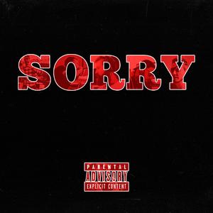 Sorry (Explicit)