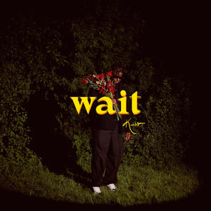 Wait (feat. Yvng Chriis) (Remix)