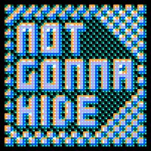 Not Gonna Hide (Explicit)