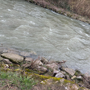 Who Knows (Explicit)