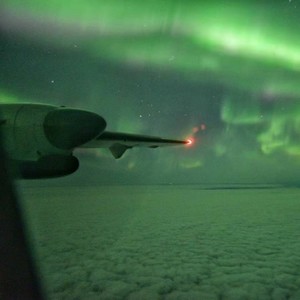 flight