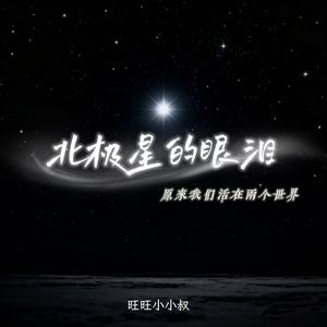 北极星的眼泪(原来我们活在两个世界)