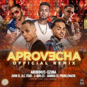 Aprovecha (Remix)