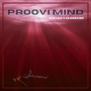 Proovi Mind (Instrumental)