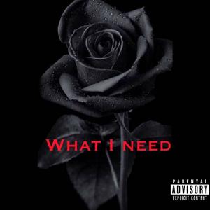 What I Need (feat. Gabethefourth) [Explicit]