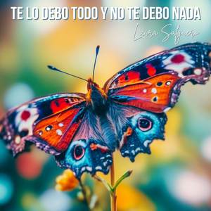 Te lo debo todo y no te debo nada