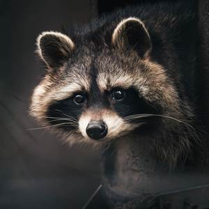 Uhh Aye (Freestyle) (Explicit)