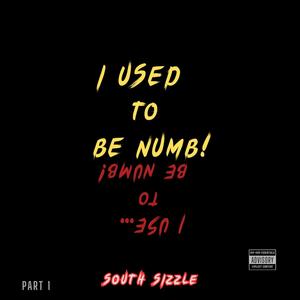 I Used To Be Numb !, Pt. 1 (Explicit)