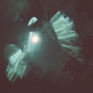 Stone Island (Explicit)