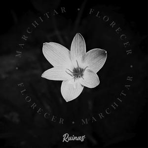 Ruinas (feat. Kevin Coterio)