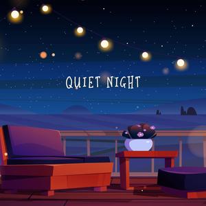 Quiet night