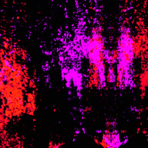 texts (lost words) (slowed down)