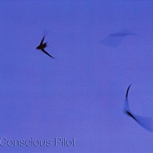 Conscious Pilot