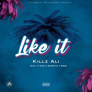 Like It (feat. J Tone, Garrylo & Rose) [Explicit]