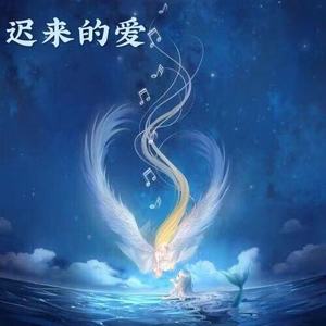 迟来的爱 (DJ版)封面