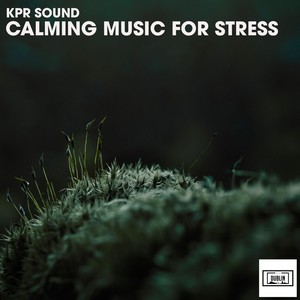 Calming Music for Stress